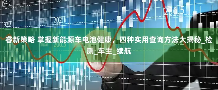 睿新策略 掌握新能源车电池健康，四种实用查询方法大揭秘_检测_车主_续航