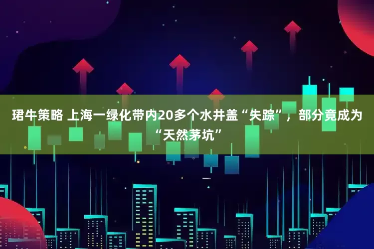 珺牛策略 上海一绿化带内20多个水井盖“失踪”，部分竟成为“天然茅坑”
