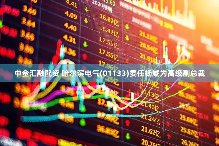 中金汇融配资 哈尔滨电气(01133)委任杨虓为高级副总裁