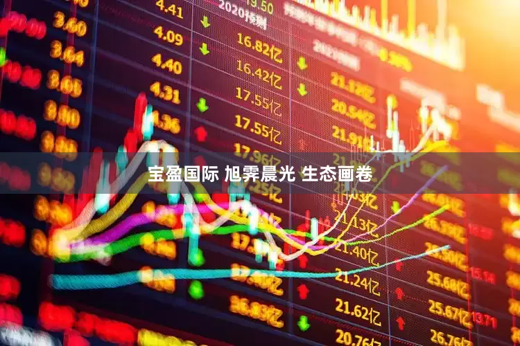 宝盈国际 旭霁晨光 生态画卷
