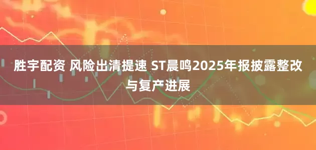 胜宇配资 风险出清提速 ST晨鸣2025年报披露整改与复产进展
