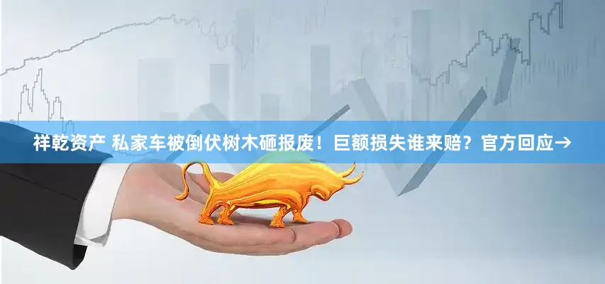 祥乾资产 私家车被倒伏树木砸报废！巨额损失谁来赔？官方回应→